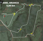 descritivo anel branco